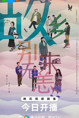 漯河专业seo优化推荐